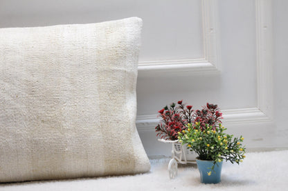 Handmade Kilim Pillow Cover: Upcycled Woven Rug, Beige Brown (16x24 inc)